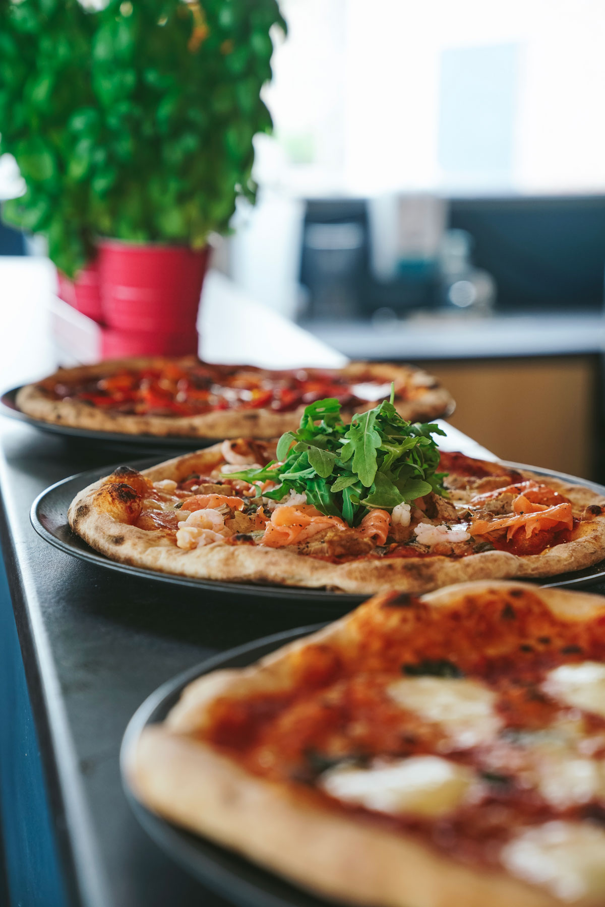 Authentic Italian Pizza | Shoreline at Paignton Beach